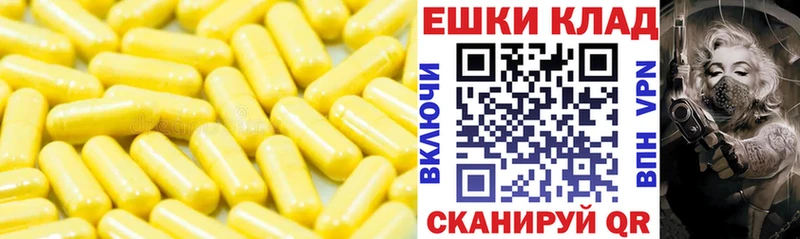 Ecstasy TESLA  Вологда 