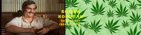 прущие грибы Аркадак