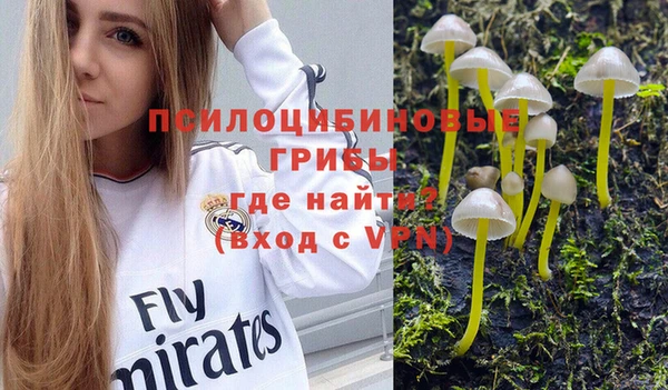 дурь Абинск