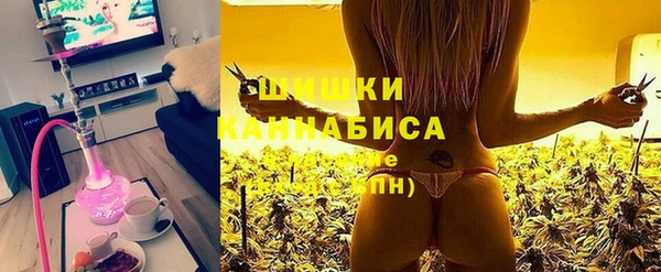 прущие грибы Аркадак