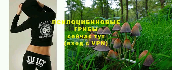 соль ск Алексеевка